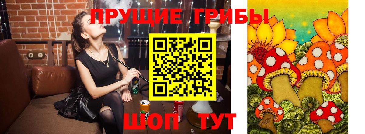 Псилоцибиновые грибы мухоморы Ростов Великий