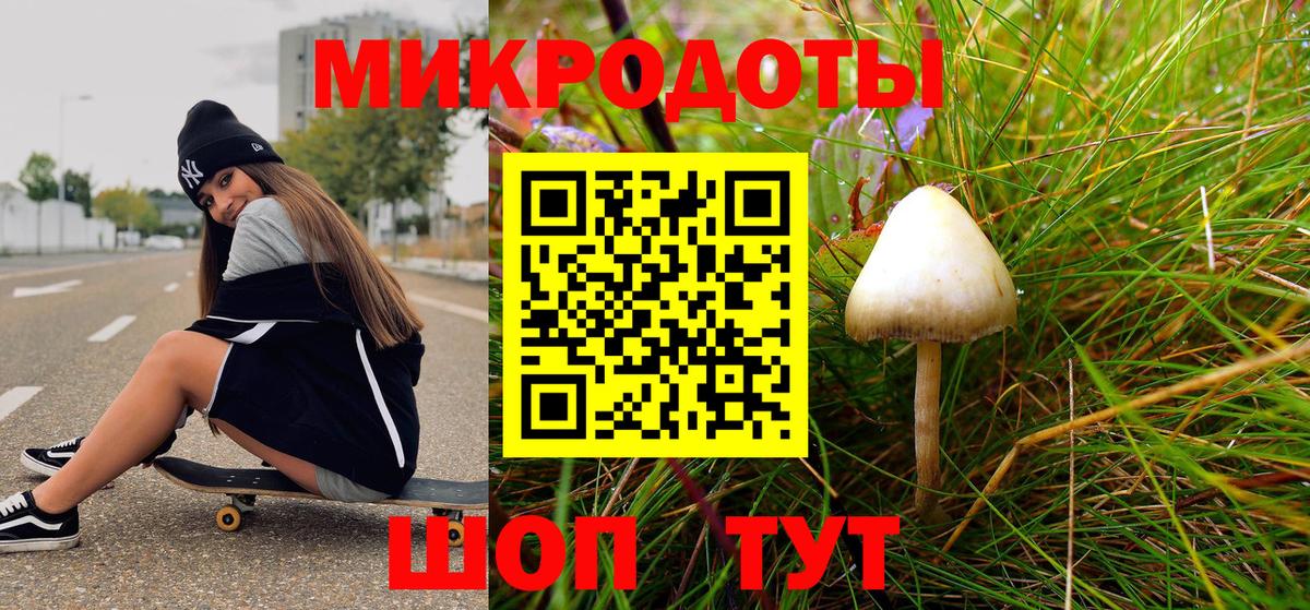Ростов Великий  цены   Вход с VPN  Галлюциногенные грибы MAGIC MUSHROOMS  Галлюциногенные грибы Cubensis 